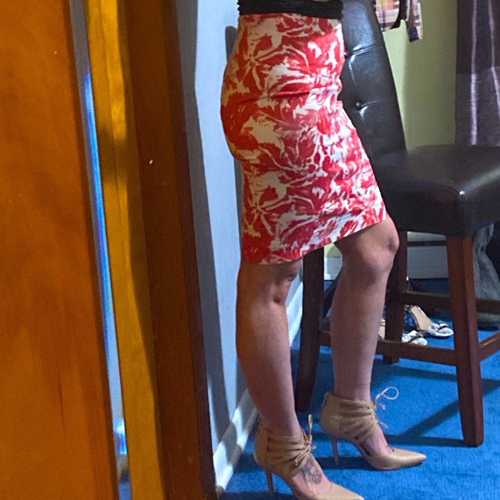 The Limited Pencil Skirt